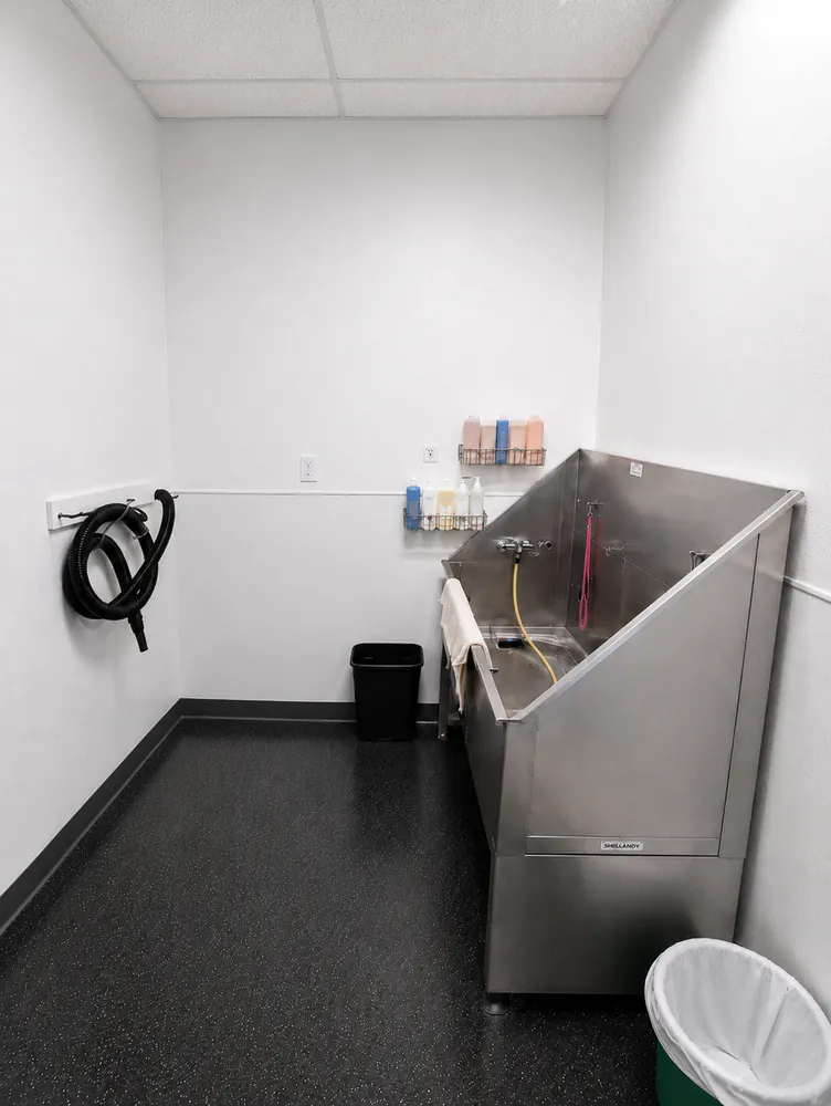 Dog bath and hand-dry station at Tangled Tails in Altoona, Iowa