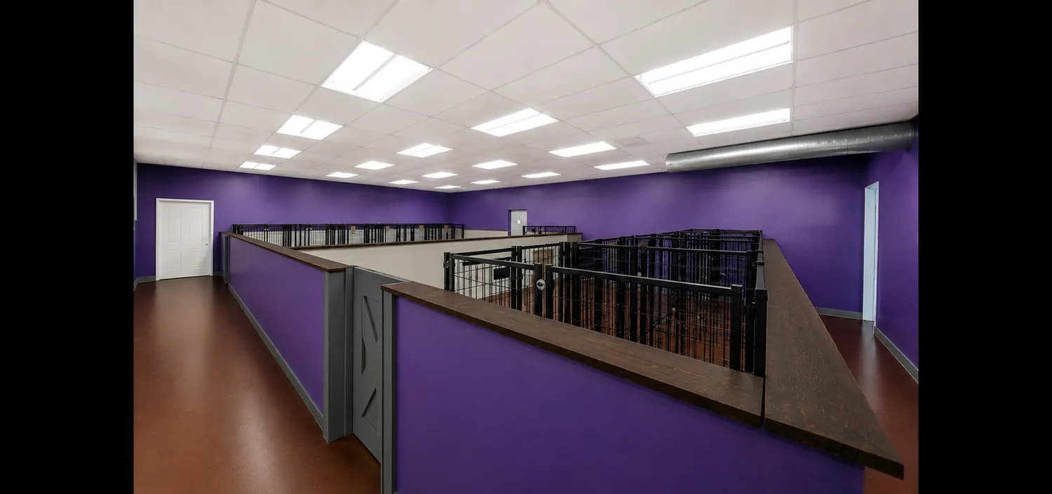 Comfortable boarding suites at Tangled Tails in Altoona, Iowa